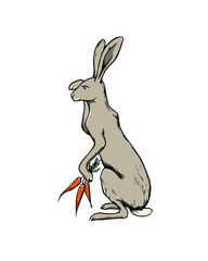 Hand drawn hare