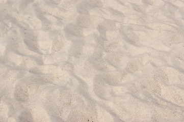 Sand beach, sea in summer
