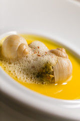 Snails with espuma and soup