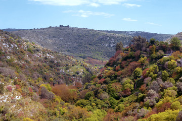 Fototapeta na wymiar Valle con alberi