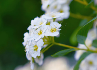 The world with my eyes	