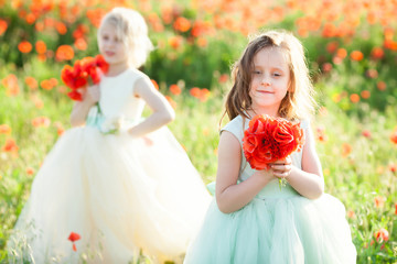 little girl model, childhood, fashion, summer concept - two smiling girls model in a festive blue and white dresses, gather bouquets of flowers poppies, the second girl and the flower in blurred focus