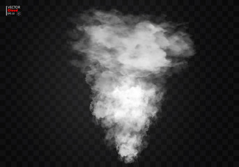 Fog or smoke isolated transparent special effect. White vector cloudiness, mist or smog background. Vector illustration