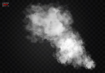 Fog or smoke isolated transparent special effect. White vector cloudiness, mist or smog background. Vector illustration