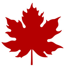 Maple leaf. Vector illustration.

