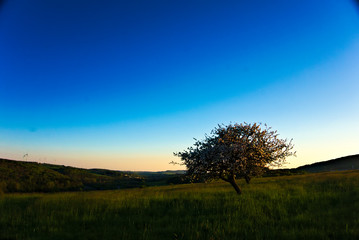 Fototapeta na wymiar Schatten im Sommer