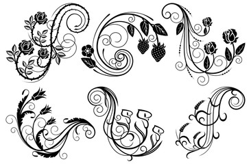 Floral swirls design elements. Vector illustration.