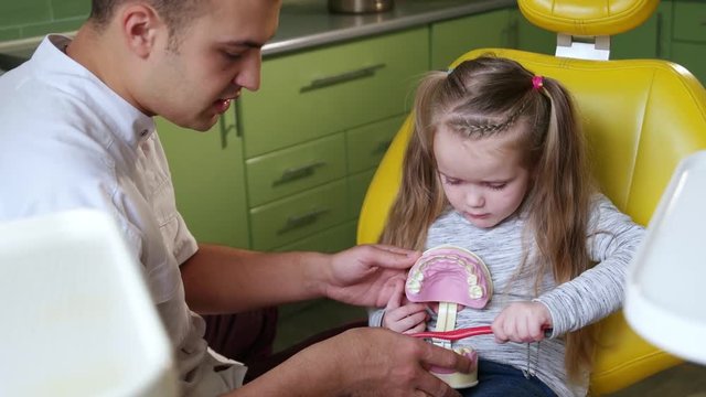 Little girl holding an artificial model of human jaw in dentist office