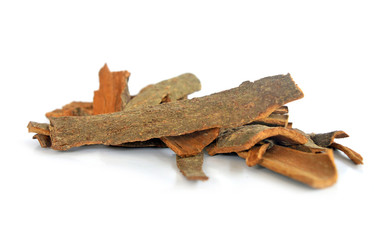 cinnamon bark on white isolate background side view
