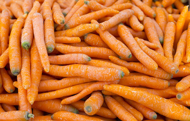 A big pile of tasty baby carrots - perfect healthy background