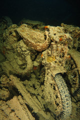 Old motorcycle inside the wreck name is SS Thistlegorm