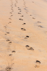 Steps on the shore. Ocean beach with footprints in the sand.