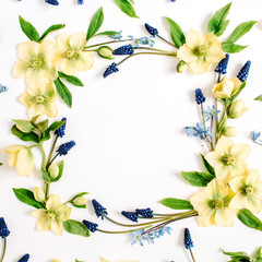Frame wreath made of hellebore flower, muscari flower and leaf on white background. Flat lay, top view.