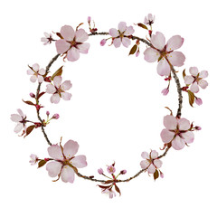 Fototapeta na wymiar Cherry Blossom Ring