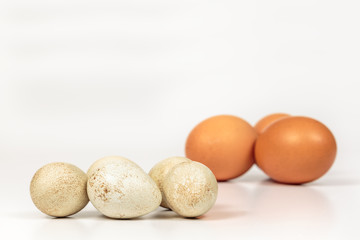 Group of partridge eggs in front of chicken eggs with brown shell, on white with blank space at top