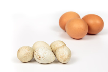 Fototapeta na wymiar Group of partridge eggs in front of chicken eggs with brown shell, on white