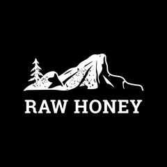 Vector logo template for honey store. High quality logotype. Concept for organic farm products. EPS10. Illustration of a pine growing on rocks.