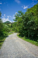 Fototapeta na wymiar Romanian countryside road