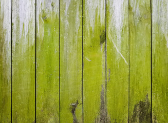Wooden fence covered in green moss