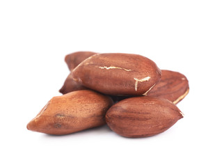 Peeled peanut isolated