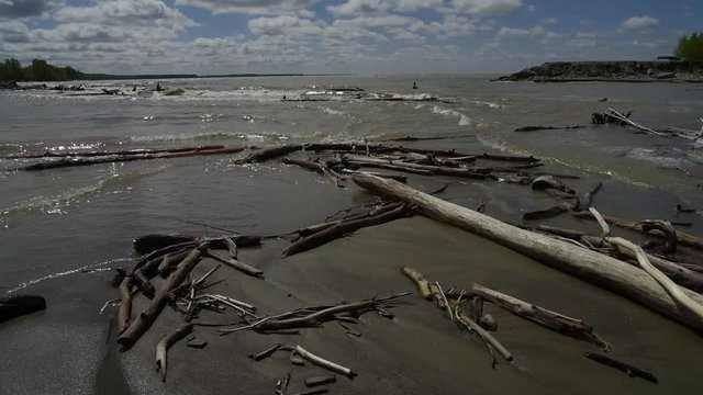 The river bank, waves of dirty melt water splash about snags