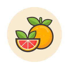 cartoon grapefruit icon vector