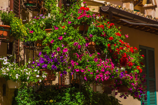 Splendido balcone con vasi di fiori nel borgo medievale di Spello