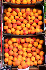 Close up view of fresh ripe apricots in plastic boxes at farmer’s market 