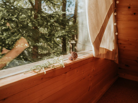 Pinecones And Flowers On Window Sill