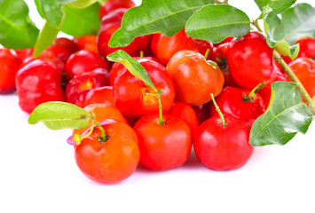 Cherry on a white background