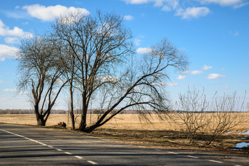 Road in Moscow Region, Russia