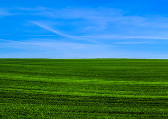 Wild nature ladsncape background in the spring season