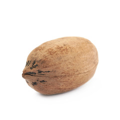 Single pecan nut isolated