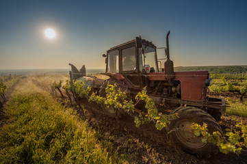 Working machines on the grape field