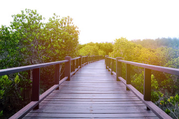 Wooden bridge walkway to sunrise or sunset light surrounded with green forest, retro filter toned