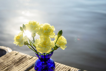 Closeup of yellow flowers in cobalt blue vase at sundown
