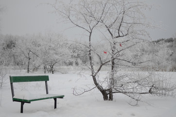 Park bench and tree with red butterfly in winter.