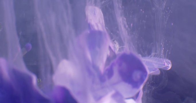 Macro video of lilac, exotic flower, covered in pollen on the black background. Closeup. 4K. Camera RED.

