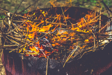 burning branches