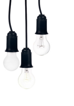tree hanging electric lamps in receptacle on white
