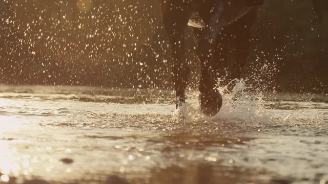 SLOW MOTION, CLOSE UP, DOF: Detail of silhouetted horse legs wading through the river splashing waterdrops in golden light sunset. Big dark brown stallion walking in rocky riverbed on sunny evening