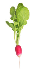 red radish with green leaves on white
