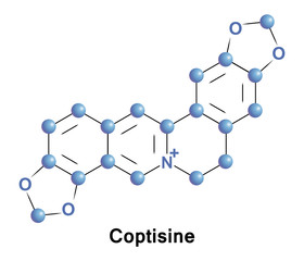 Coptisine is an alkaloid found in Chinese goldthread, it has a bitter taste. It is used in Chinese herbal medicine with berberine for treating digestive disorders caused by bacterial infections