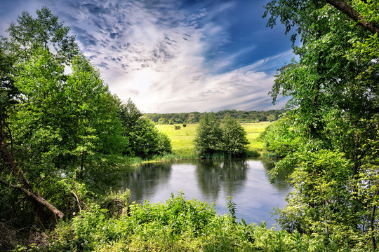 River bank with green trees and a meadow