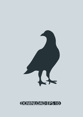 Bird icon, Vector