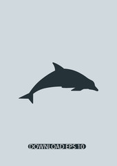 Dolphine icon, Vector