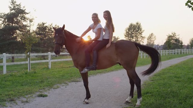 SLOW MOTION, CLOSE UP: Two cheerful Caucasian girls sitting on strong chestnut gelding on horse ranch at sunset. Happy girlfriends bareback riding stunning brown horse in nature at amazing sunrise