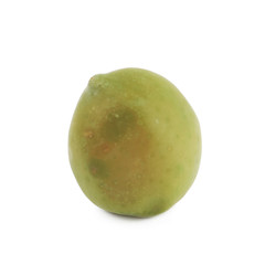 Single green olive isolated