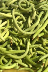 Rare cucumber 