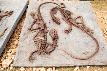 Obraz premium Modelowa skamielina dinozaura